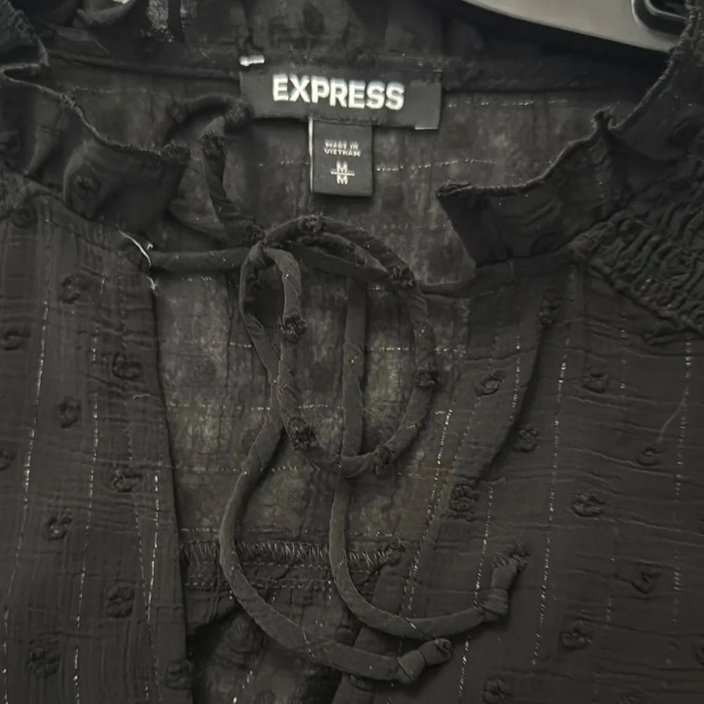 Express Black Sheer Top - Picture 2 of 4